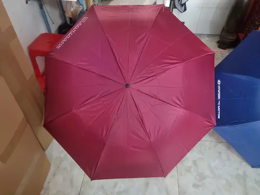 Hướng Dẫn Bảo Quản Ô Dù Bền Bỉ Theo Thời Gian